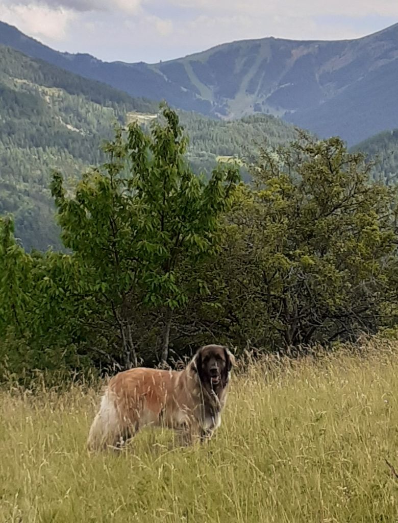 Du Villars Haut - Vive la montagne 