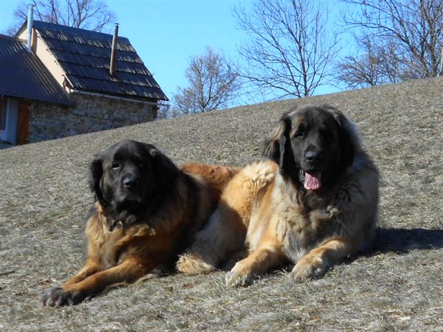 Du Villars Haut - Péone le 31 03 2018 