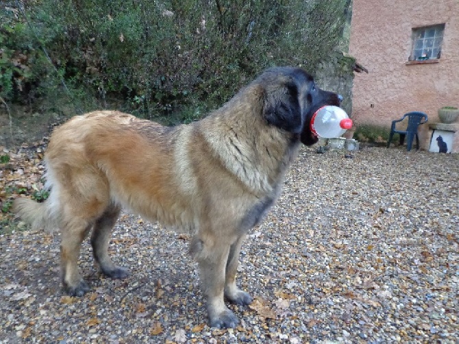 Du Villars Haut - c'est ma bouteille de coca a moi !!!!