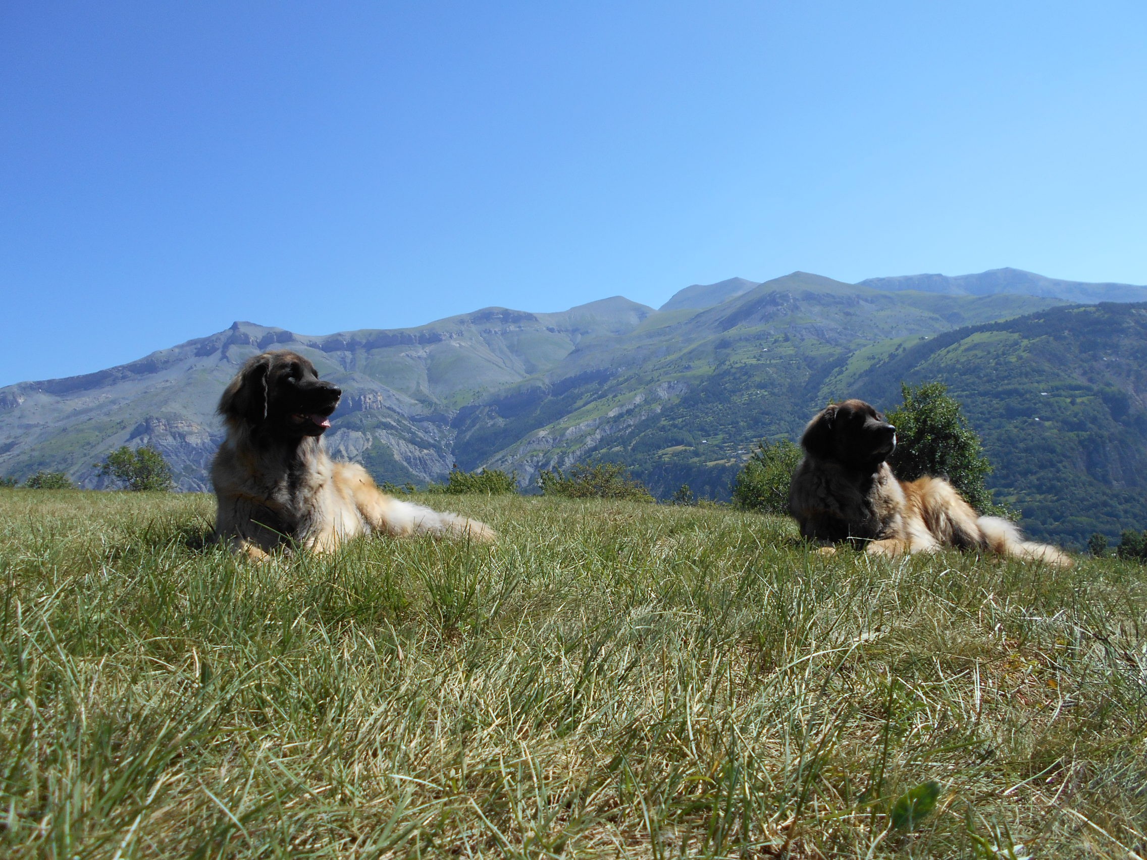 Du Villars Haut - Un bol d'air frais 