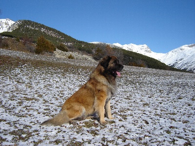 Du Villars Haut - Première neige 