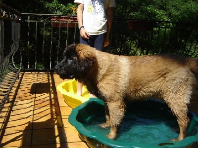 Du Villars Haut - un petit bain   !!!