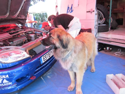 Du Villars Haut - Rallye de Venasque 2011