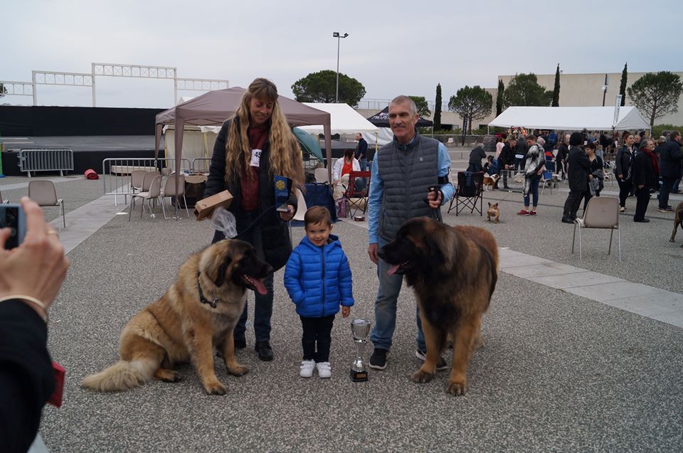 Du Villars Haut - Exposition Nationale Canine de Vallauris 