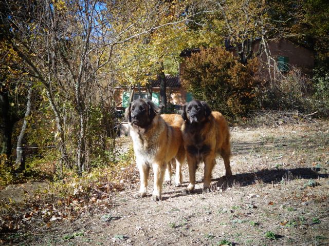 Du Villars Haut - Mes deux filles d'amours 