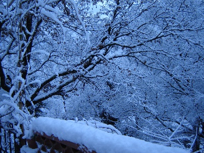 Du Villars Haut - De la neige et encore de la neige !!! 