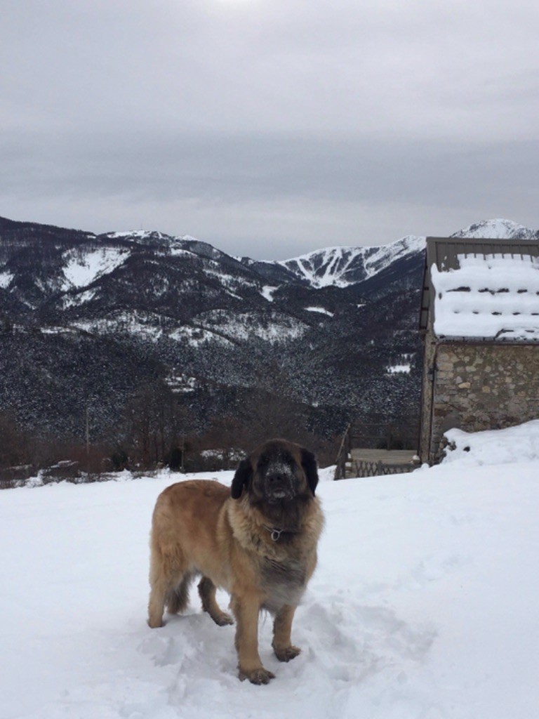 Du Villars Haut - Trop bien la neige 