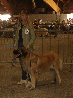 Du Villars Haut - Exposition canines nationale d''Avignon