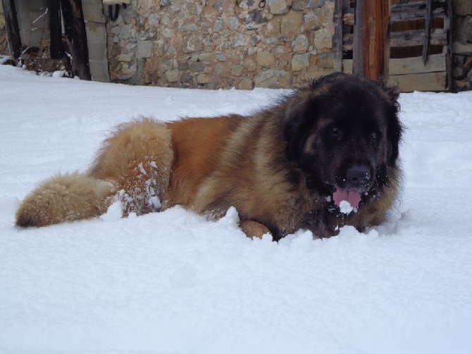 Du Villars Haut - Trop bien la neige !!!