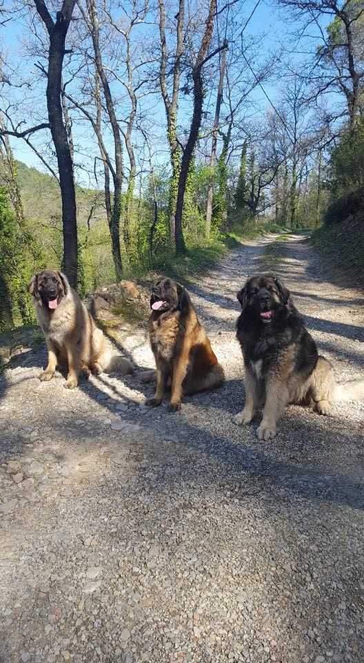 Du Villars Haut - Une agréable visite 