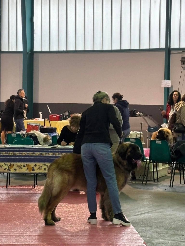 Exposition Cavaillon 